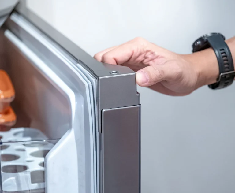 Best refrigerator guide