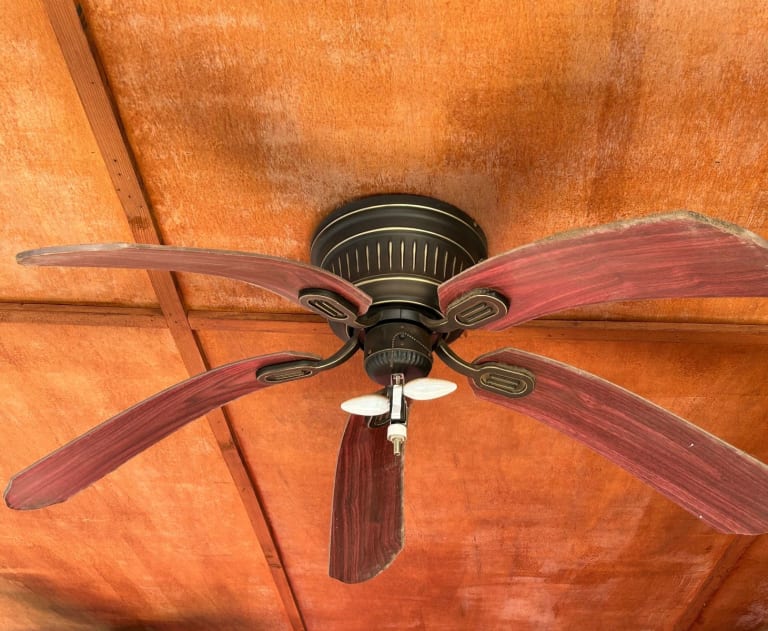 This oil-rubbed bronze ceiling fan appears to be a tropical-style model with reversible bamboo or palm-style blades, commonly found in outdoor or tropical-themed settings.
