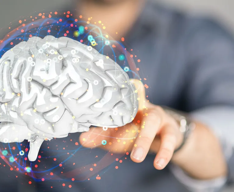 Brain with electrical knowledge for homeowners