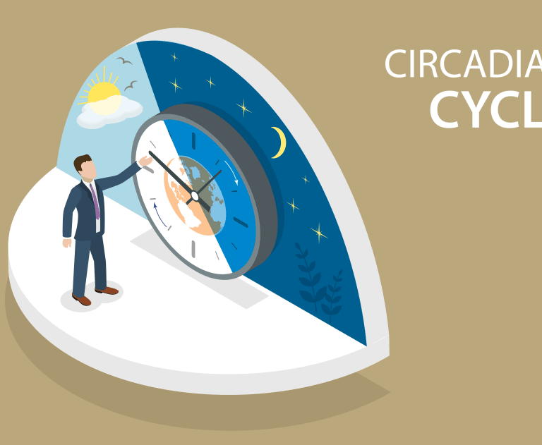 The image is a conceptual illustration of a circadian rhythm, which is a natural, internal process that regulates the sleep-wake cycle and repeats roughly every 24 hours.