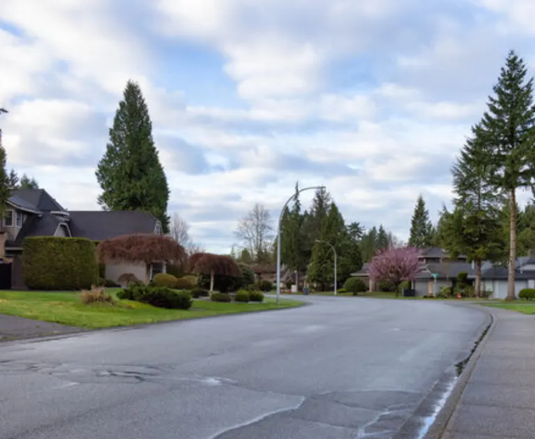 A residential road lined with trees, mailboxes, and houses.