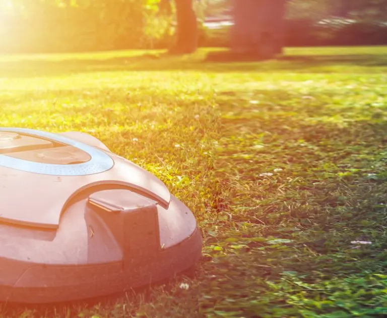 The item in the image is a robot lawn mower, an automated device designed for efficient yard maintenance.
