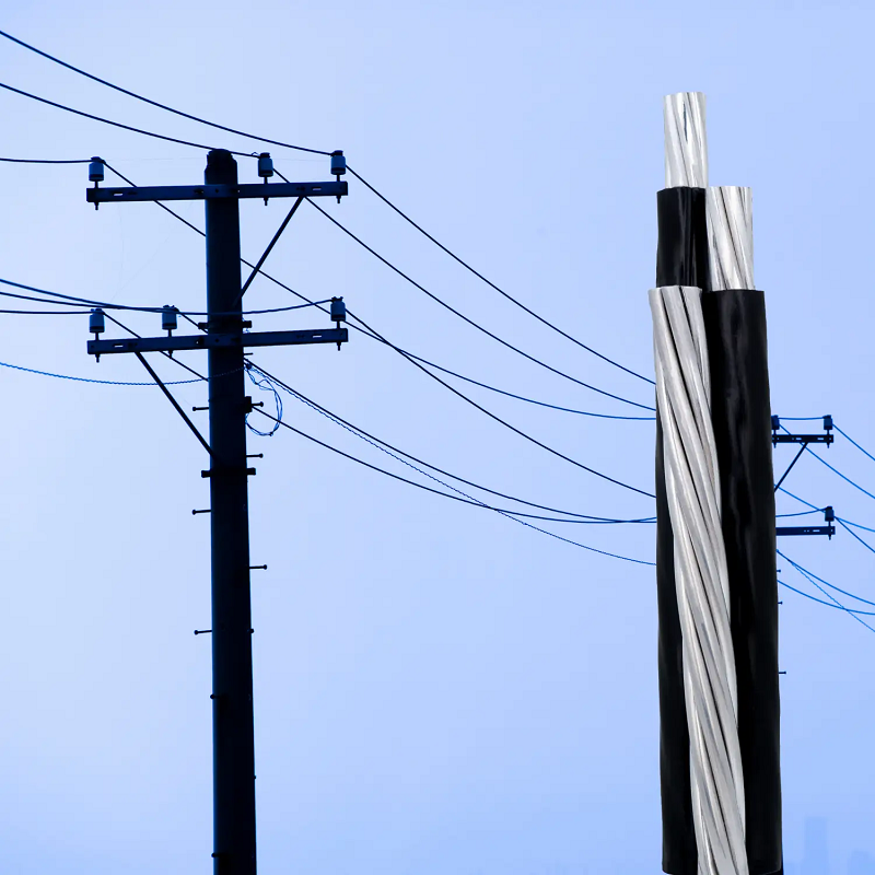 The image features an overhead power utility pole with electric cables. The bundled conductors shown are used for overhead power distribution. These types of cables are designed to deliver power from a utility pole transformer to a building.