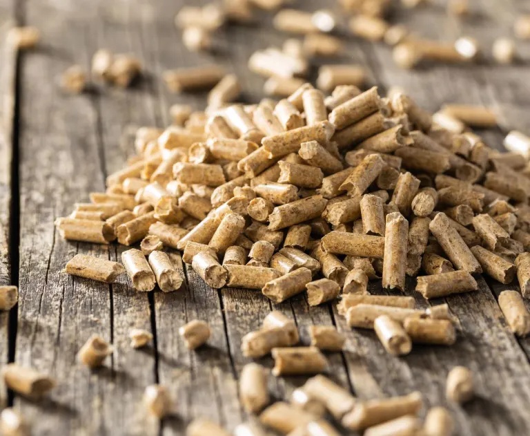 The image shows wood pellets, a type of compressed biomass fuel.
