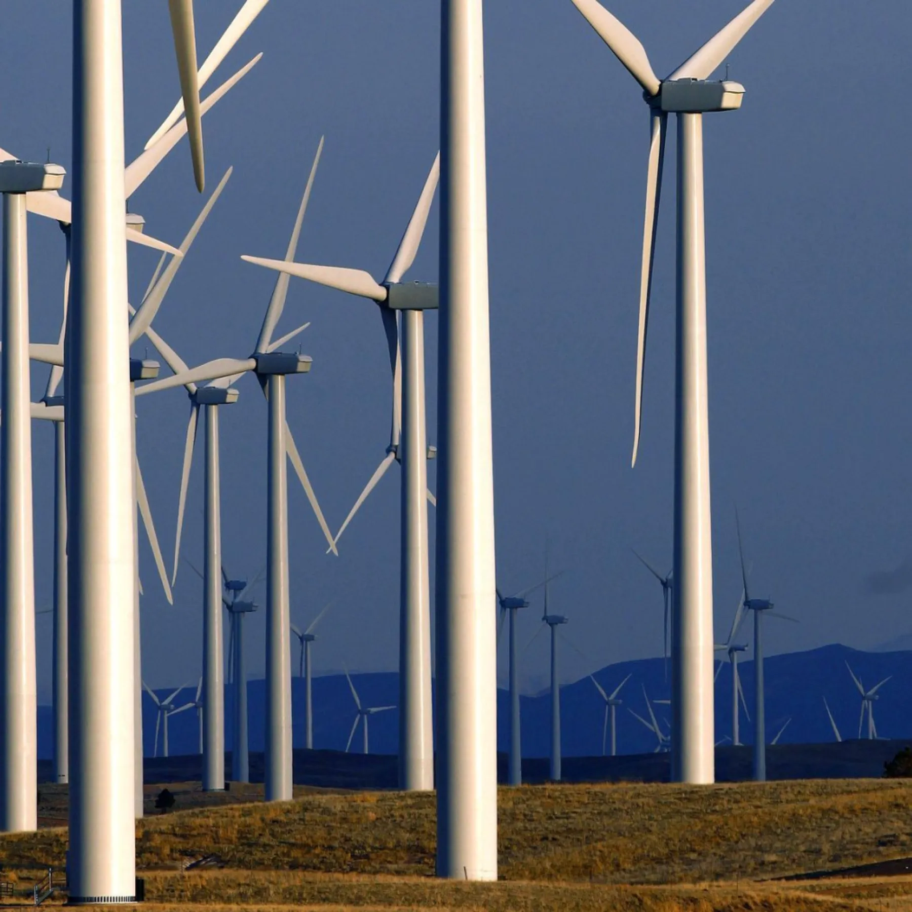 This image shows a large-scale land-based wind turbine farm that generates electricity.