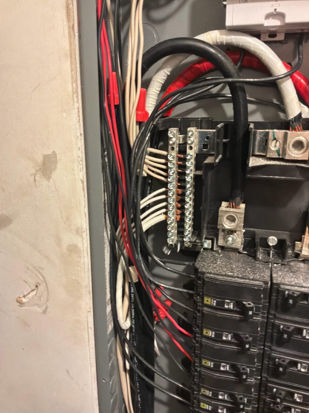 Neutral and grounding terminations at the panel bus bar in Palm City