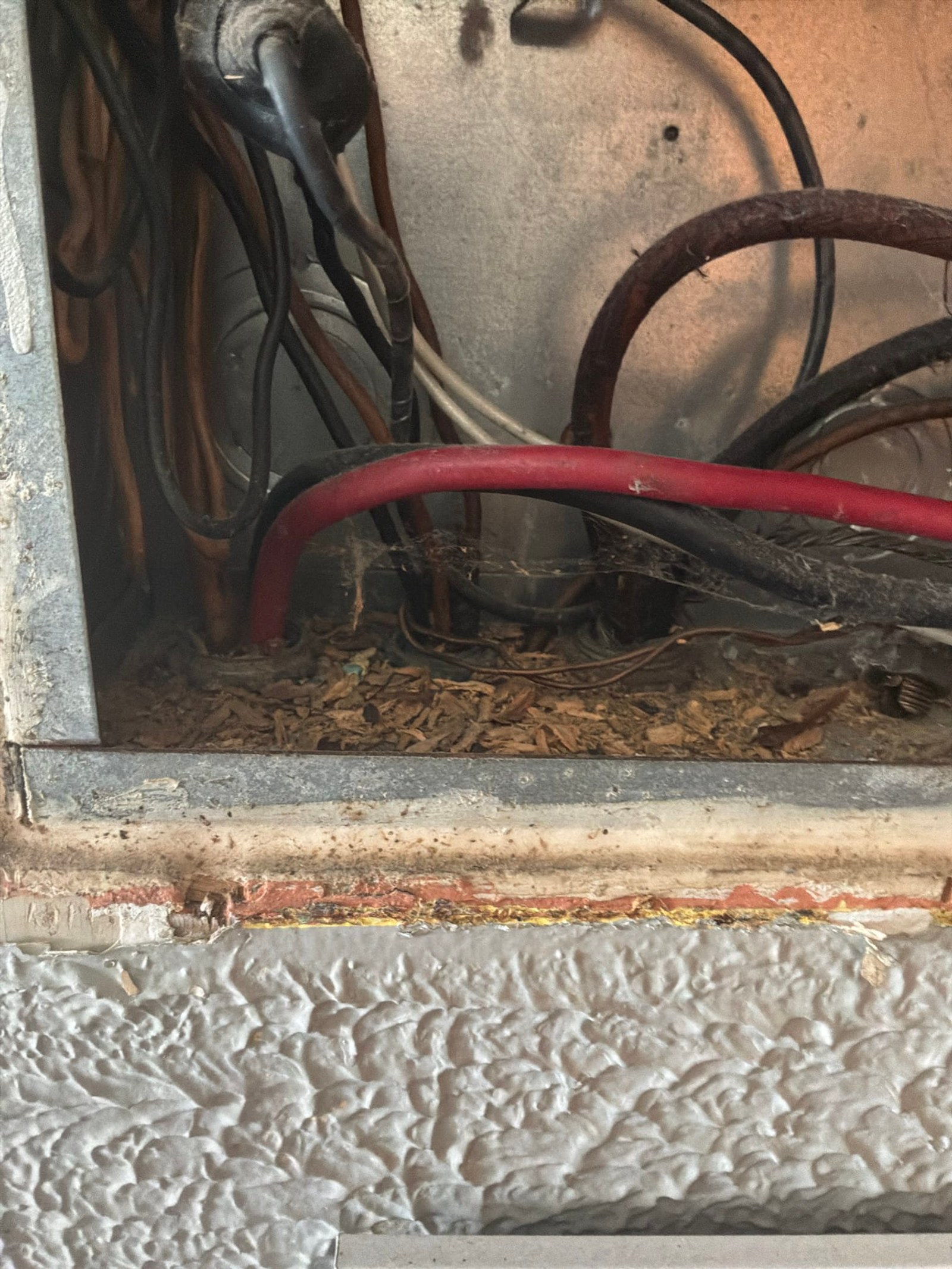 Wiring documented before the work on an Outlet/GFCI-Repair/Replace job in West Palm Beach, FL.
